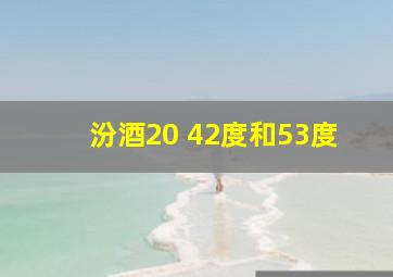 汾酒20 42度和53度